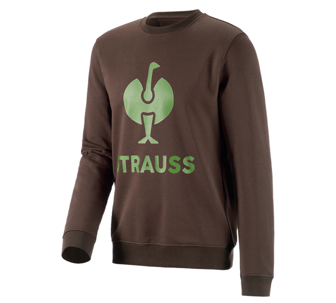 Vue principale, e.s.motion 2020, Sweatshirt e.s.motion 2020, marron/vert d'eau