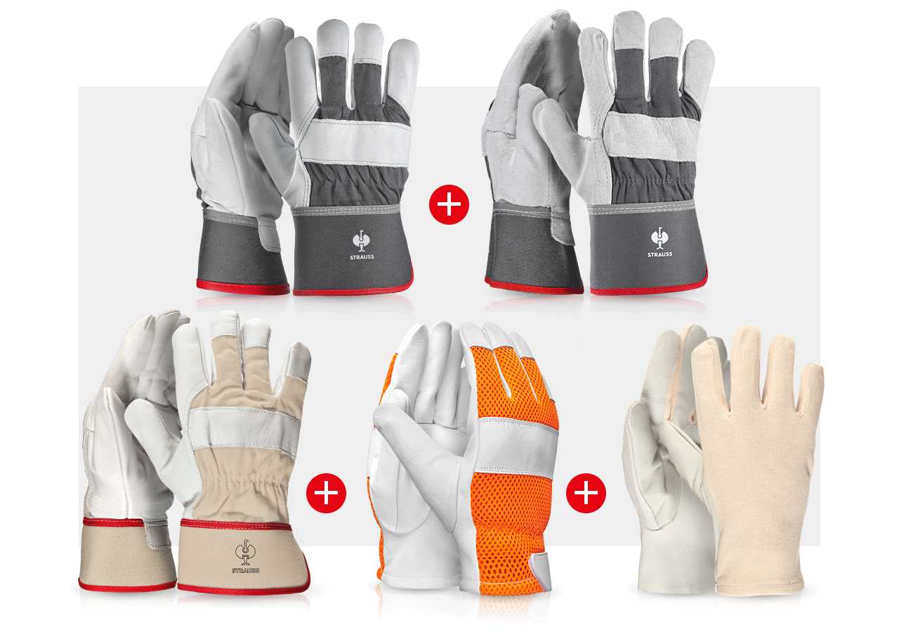 Sets | Accessoires: Handschoen-pro set leder II
