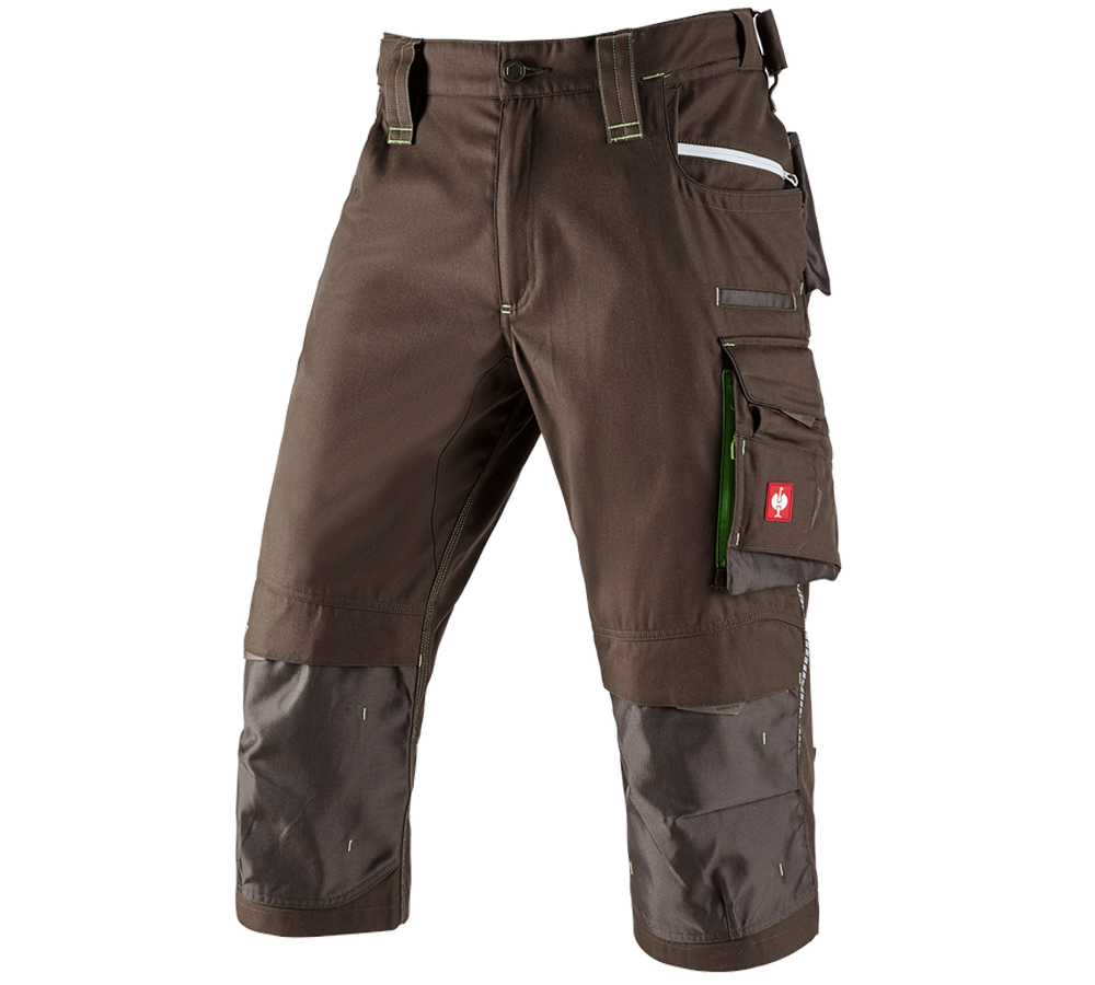 Pantalons de travail: Corsaire e.s.motion 2020 + marron/vert d'eau