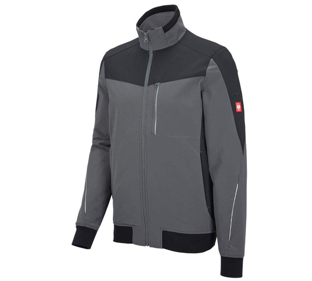 Thèmes: Veste de travail fonctionnelle e.s.dynashield + ciment/graphite