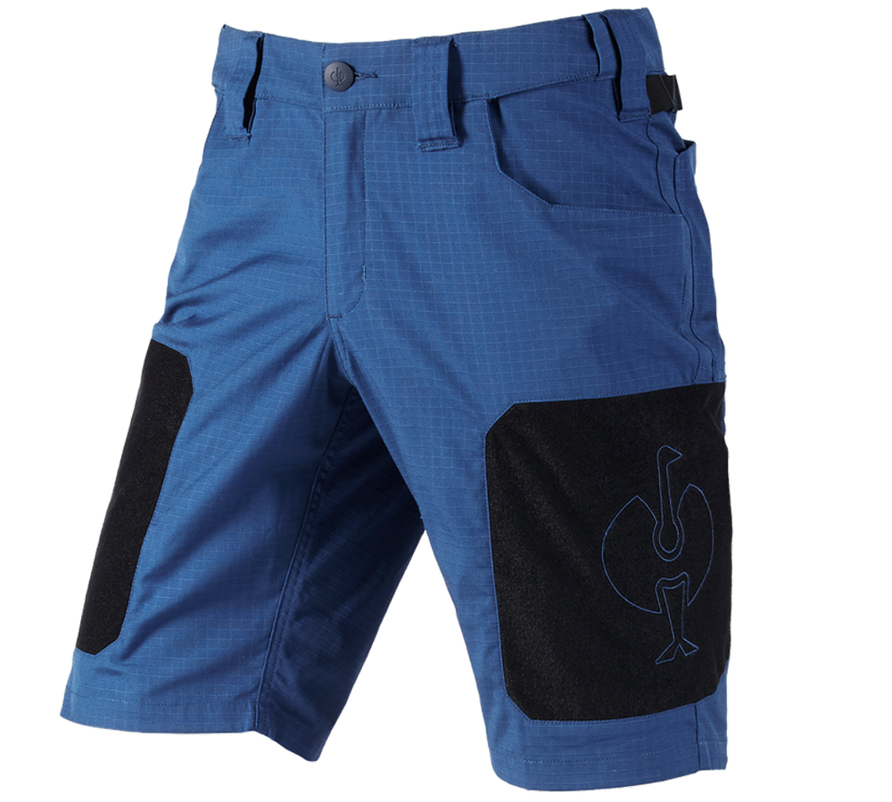 e.s.tool concept: Short e.s.tool concept + bleu alcalin