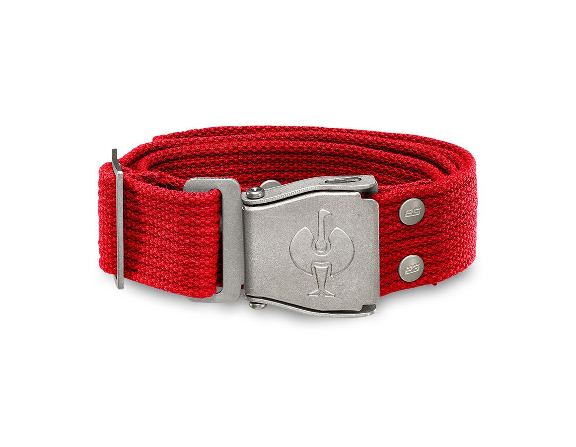 Accessoires: Riemen e.s.motion + rood