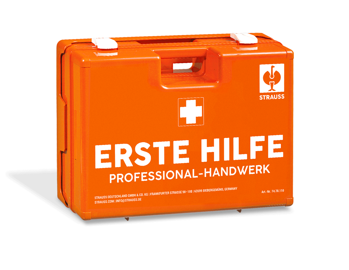 Koffer | Schränke: Erste-Hilfe-Koffer Professional
