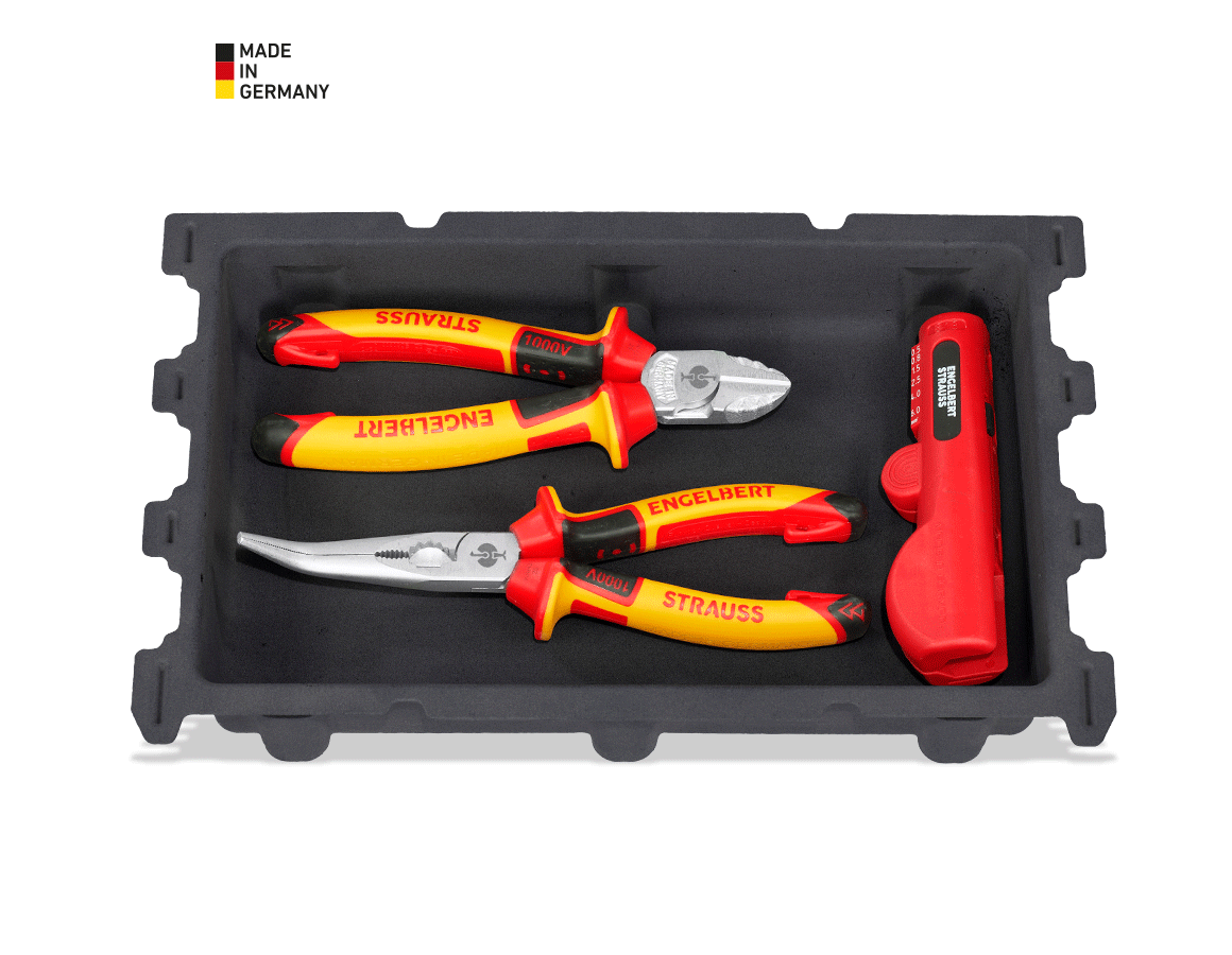 Gereedschap: STRAUSSbox small VDE-tangen insert