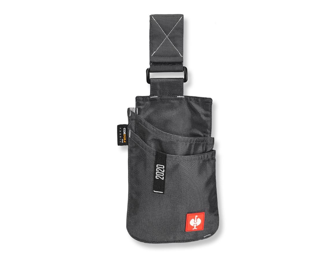 Accessoires: Werkzeugtasche e.s.motion 2020, klein + anthrazit/platin