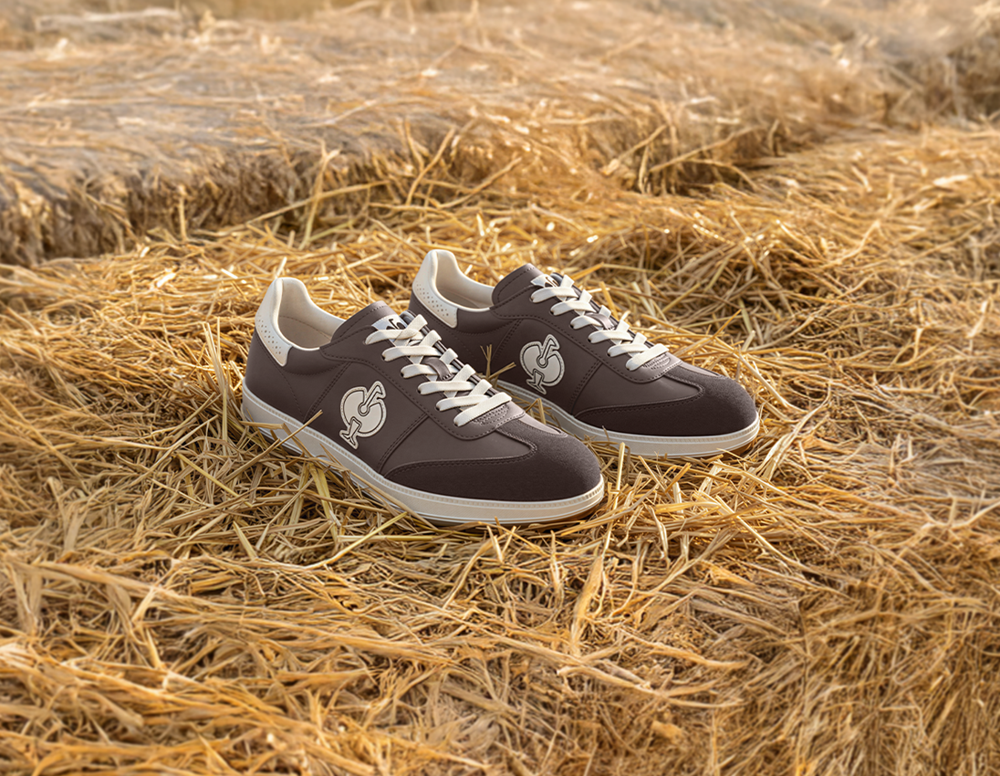 S1P: S1P Chaussures basses de sécurité e.s. Dothan low + marron