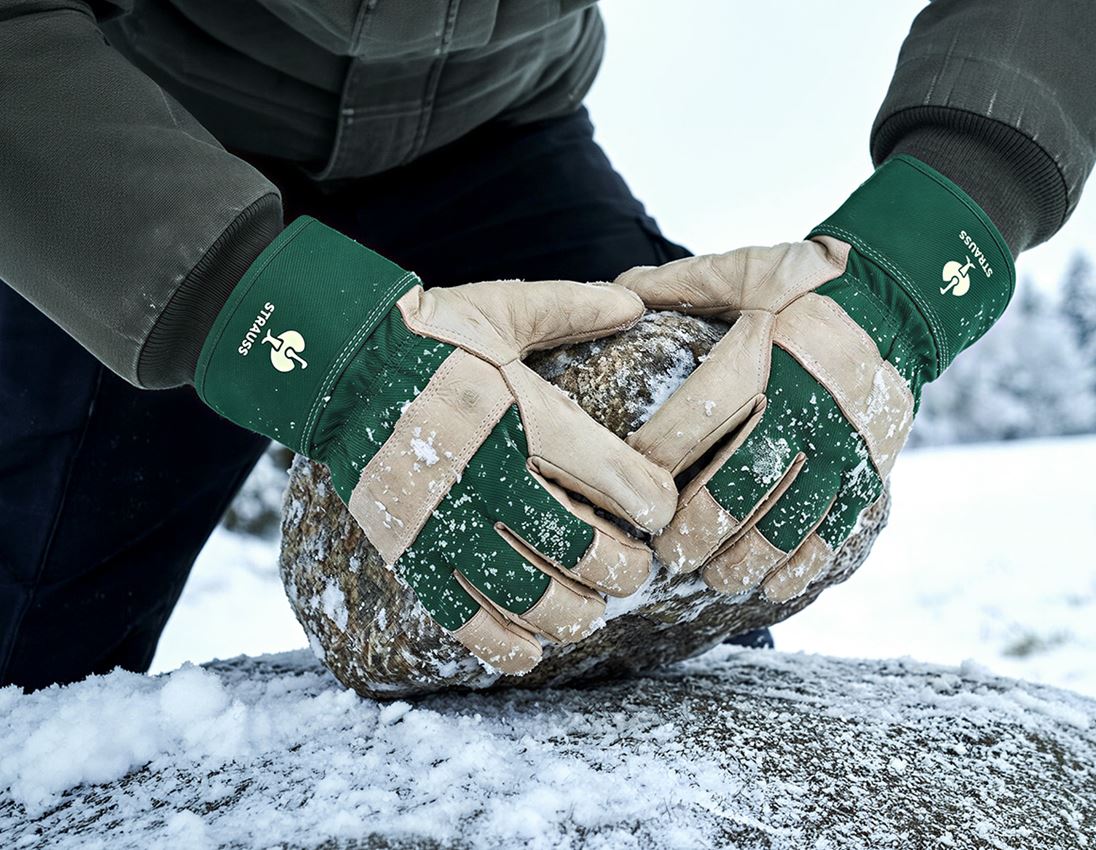Leder: Vollleder-Winterhandschuhe Grönland