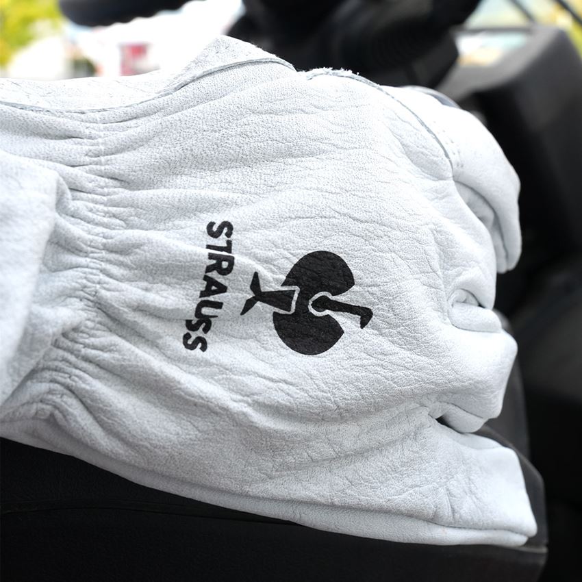 Leder: Nappaleder-Fahrer-Handschuhe Driver 2