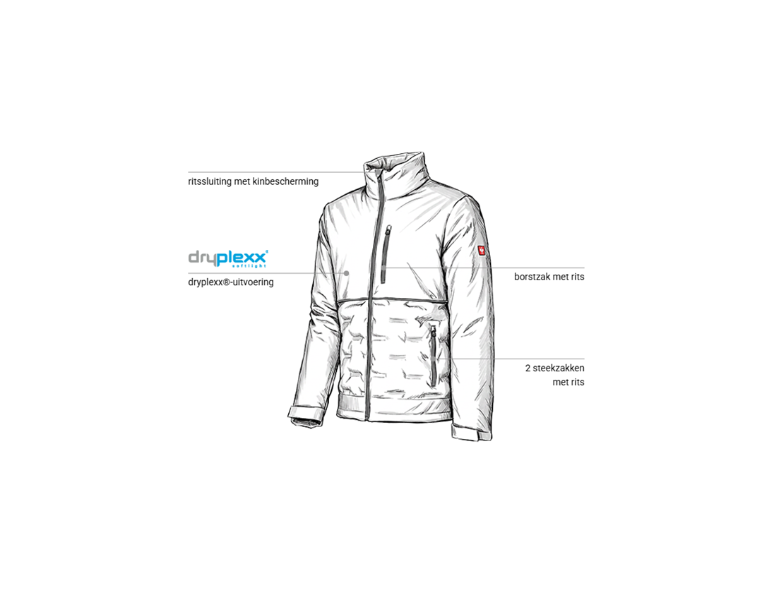 Werkjassen: Padded-winterjas e.s.line.core + wit/platina 1