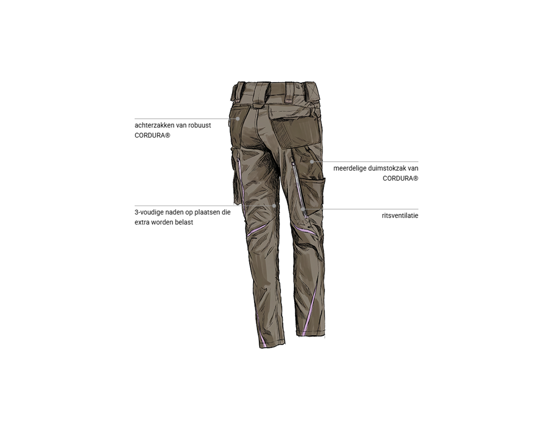 Kleding: Damesbroek e.s.motion 2020 + steen/lavendel 2