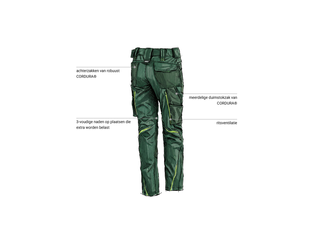 Kleding: Damesbroek e.s.motion 2020 + groen/zeegroen 2