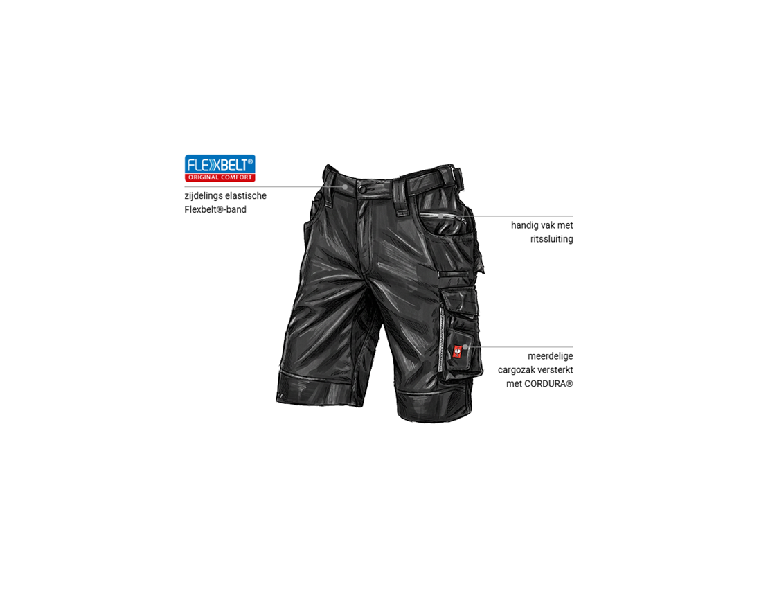 Kleding: Short e.s.motion 2020 + zwart/platina 1
