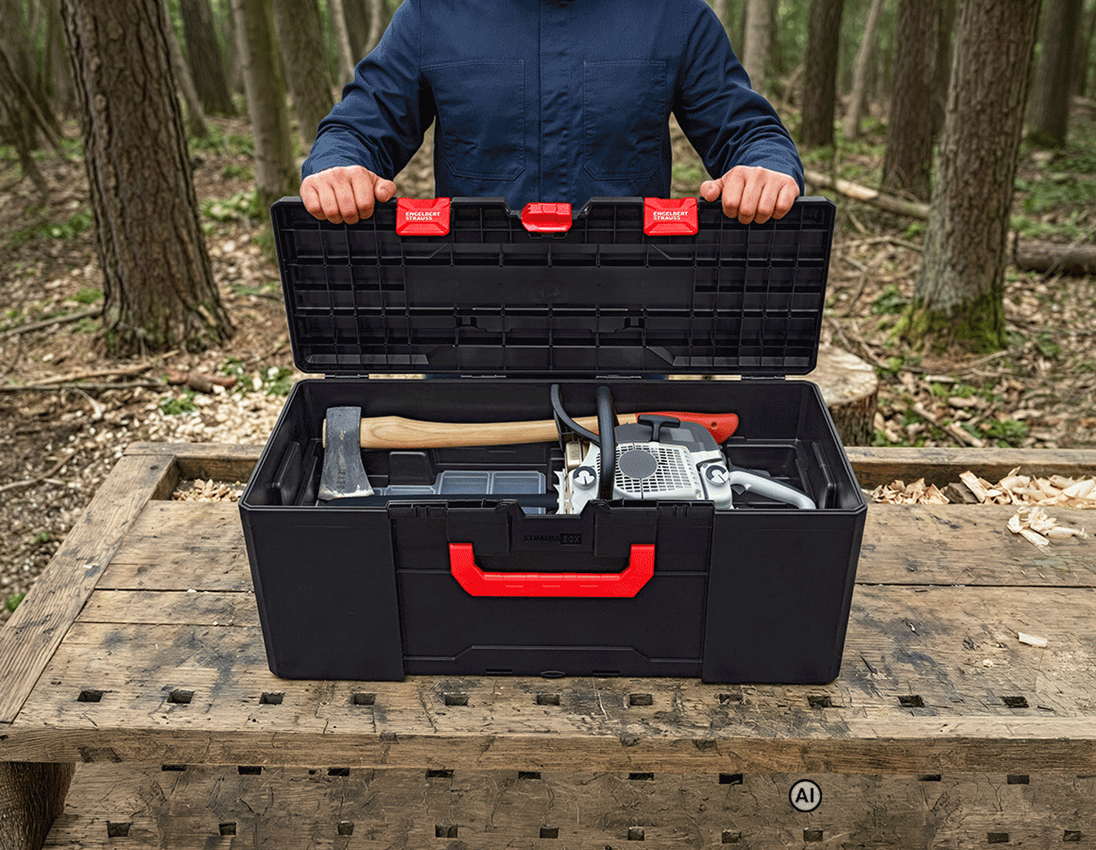 AI-gegenereerd / bewerkt - Gereedschap: STRAUSSbox 340 maxi