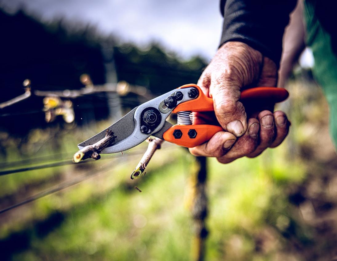 Scharen: Bypass-schaar Löwe 11 1