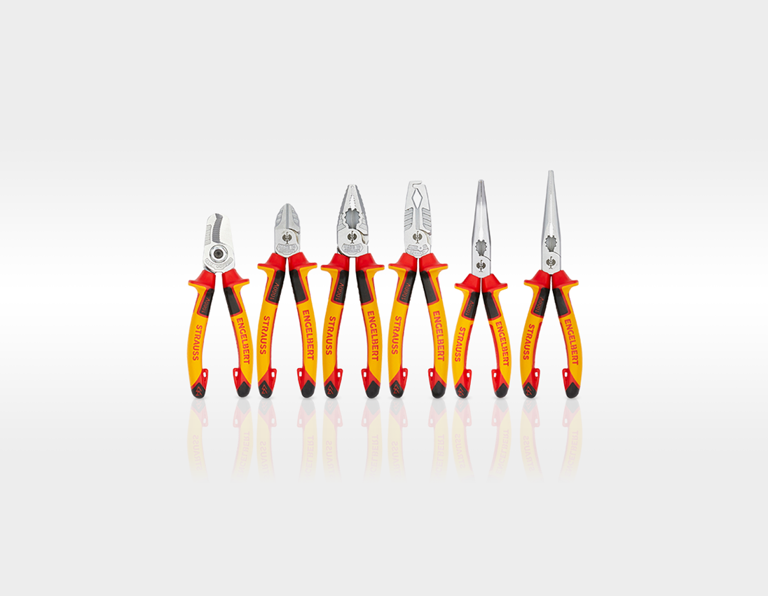 Mallette à outils: Jeu d'outils Elektro Meister avec chariot à outils 1