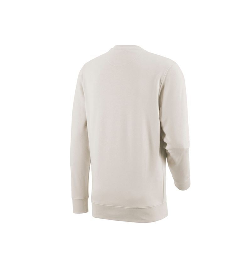 Shirts & Co.: e.s. Sweatshirt poly cotton + gips 3