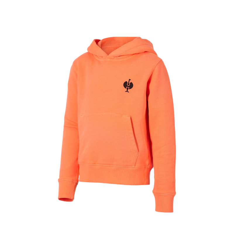 neon: e.s. Hoody-Sweatshirt neon, kinderen + neonoranje vintage 3