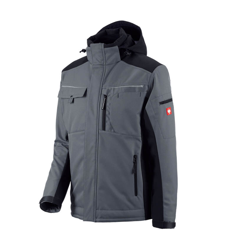 Vestes de travail: Veste Softshell e.s.motion + gris/noir 2