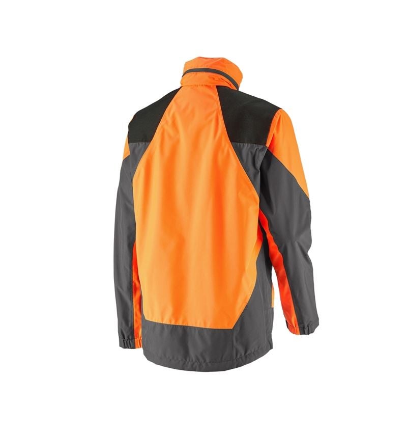 Vestes de travail: e.s. Veste de pluie de forestier + orange fluo/gris carbone 3