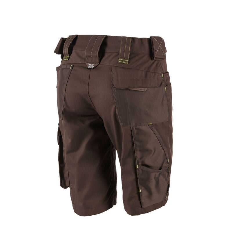 Pantalons de travail: Short e.s.motion 2020, femmes + marron/vert d'eau 3