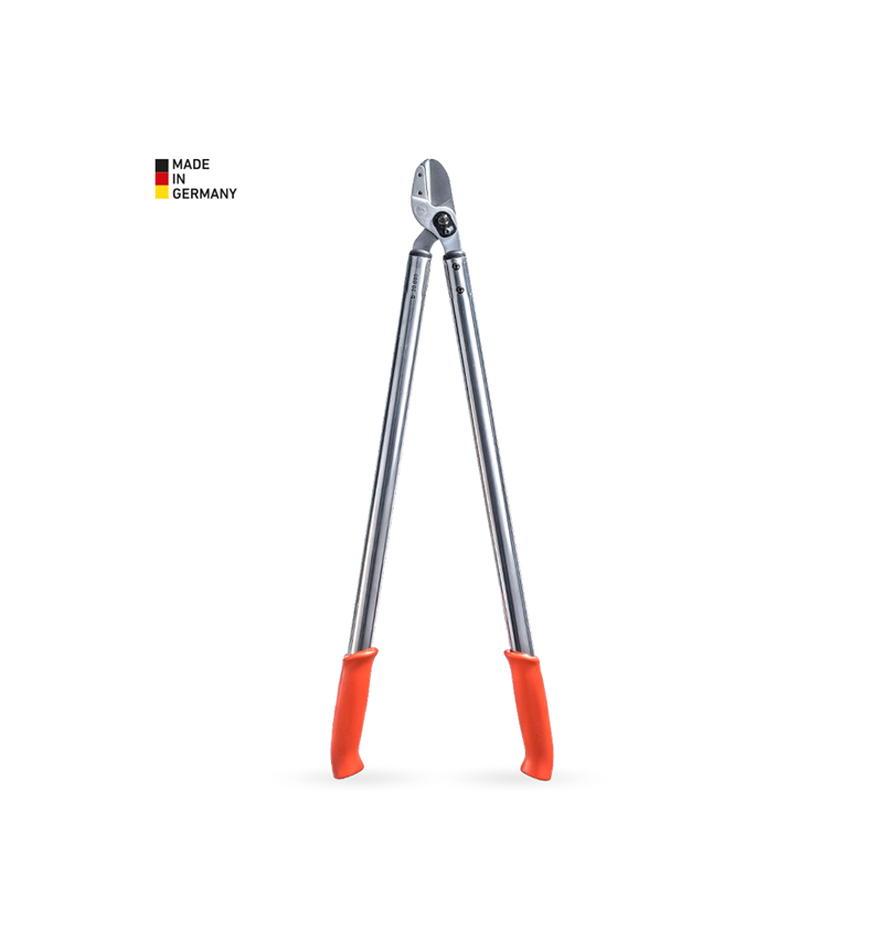 Scharen: Aambeeld-takkenschaar Löwe 20