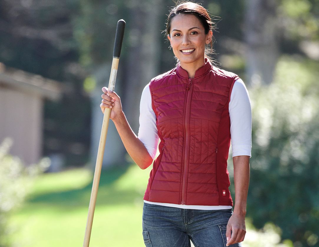 myDesign XMAS: e.s. Funct. gewatteerde thermostretch bodywarm.,d. + robijn