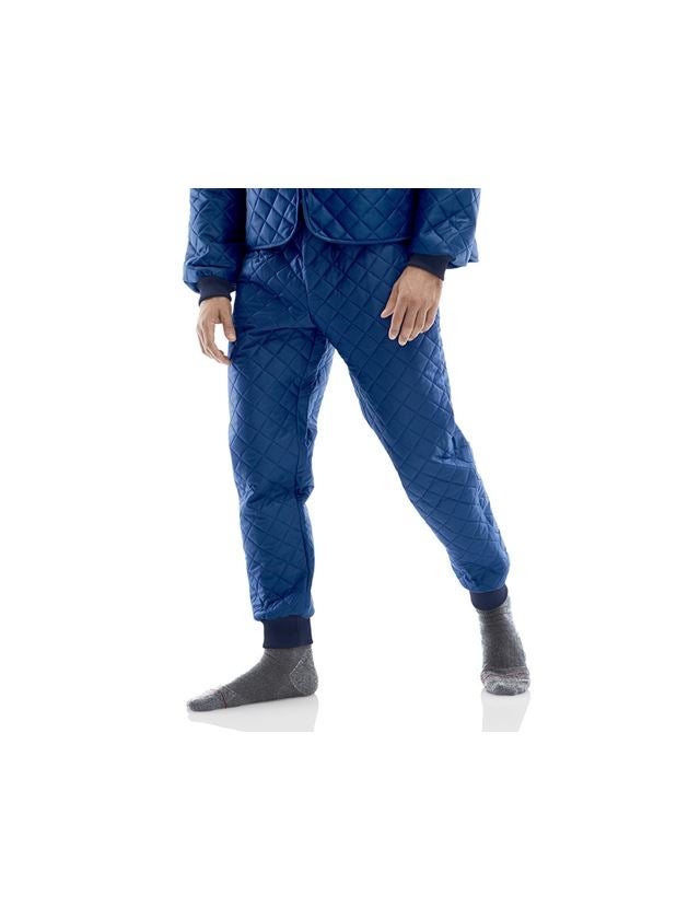 Horti-/ Sylvi-/ Agriculture: Pantalon polaire + marine