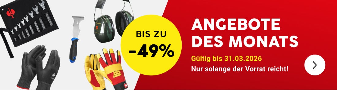 Angebote  des Monats