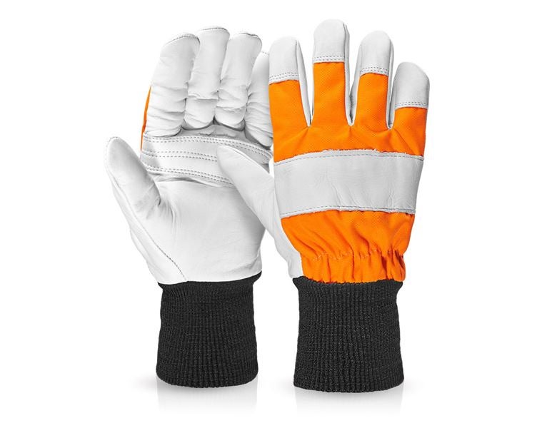 Vue principale, Sécurité au travail, Gants de forestier à protection anti-coupe en cuir