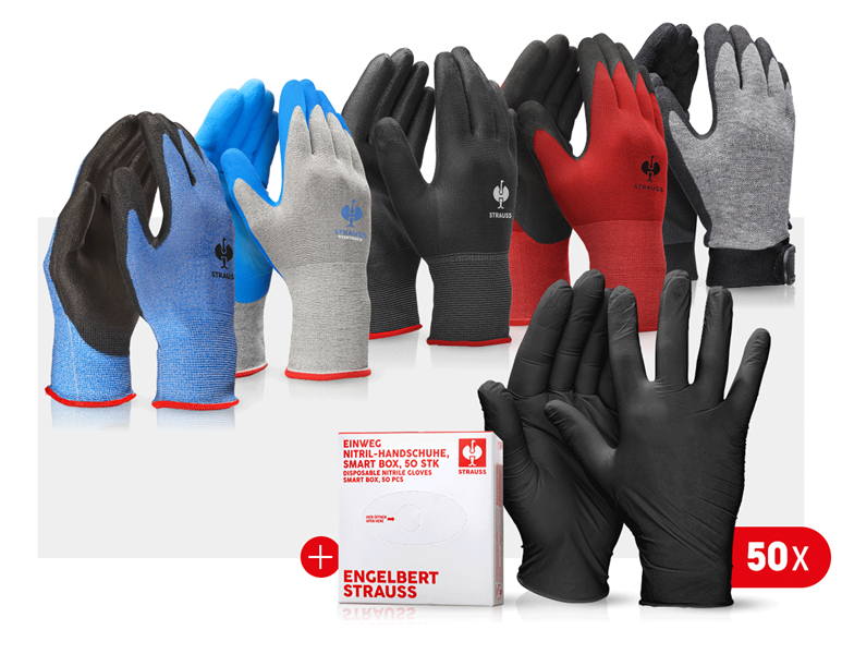 Vue principale, PROMOS, Kit de gants professionnels automobile III