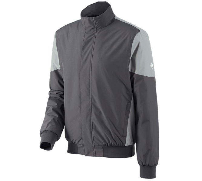 Vue principale, PROMOS, Blouson aviateur e.s.concrete, anthracite/gris perle