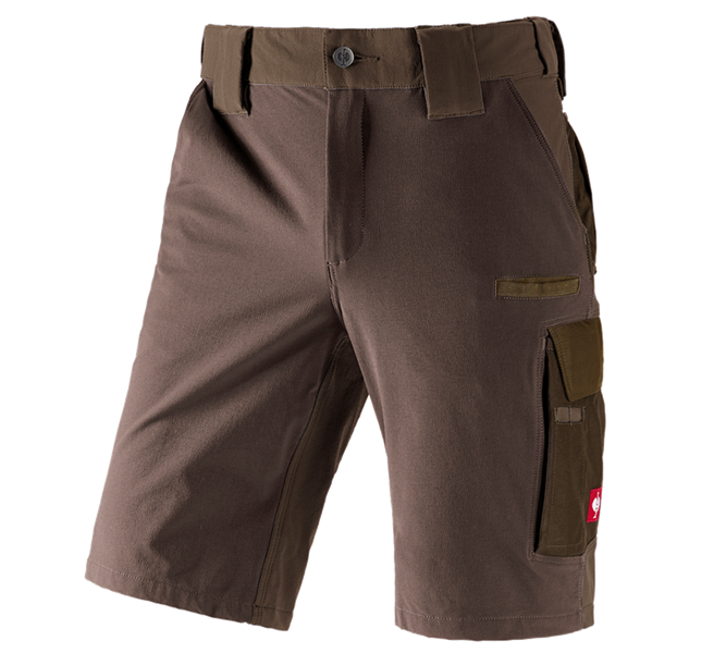 Vue principale, Aperçu des collections e.s., Short fonctionnel e.s.dynashield, noisette/marron