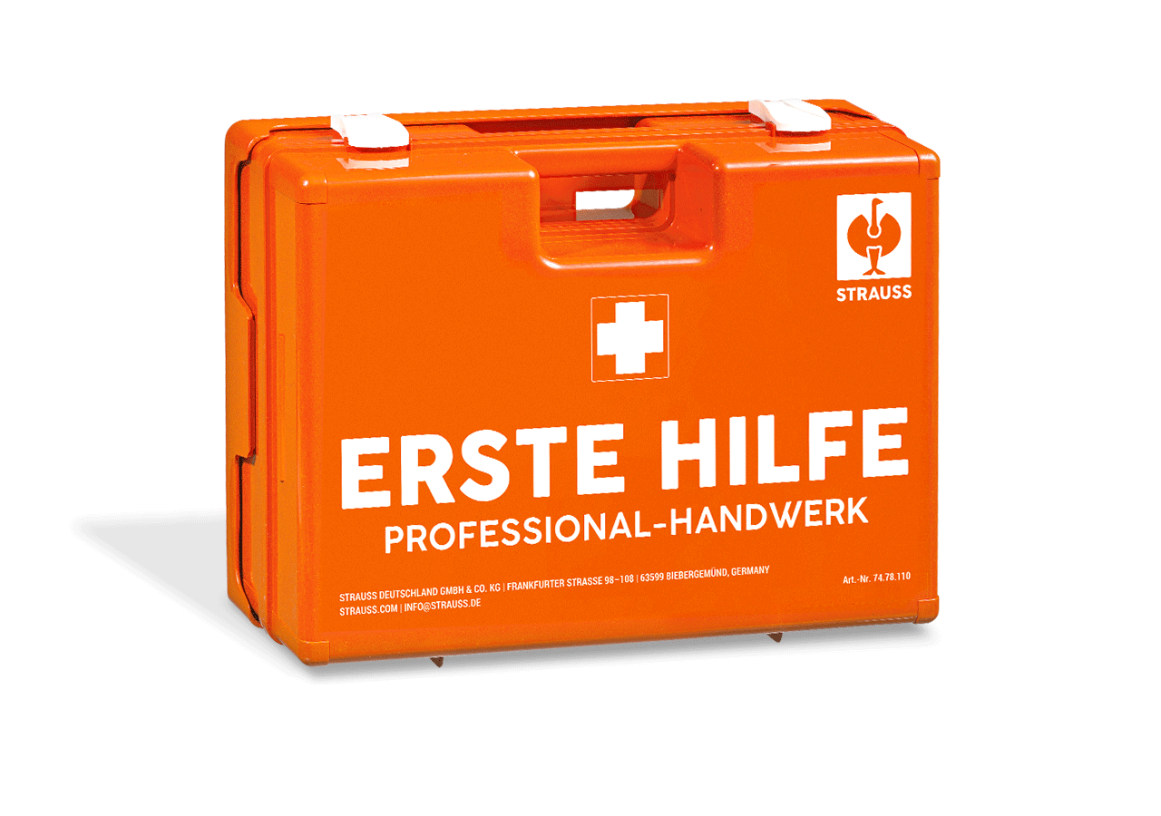 Koffer | Schränke: Erste-Hilfe-Koffer Professional