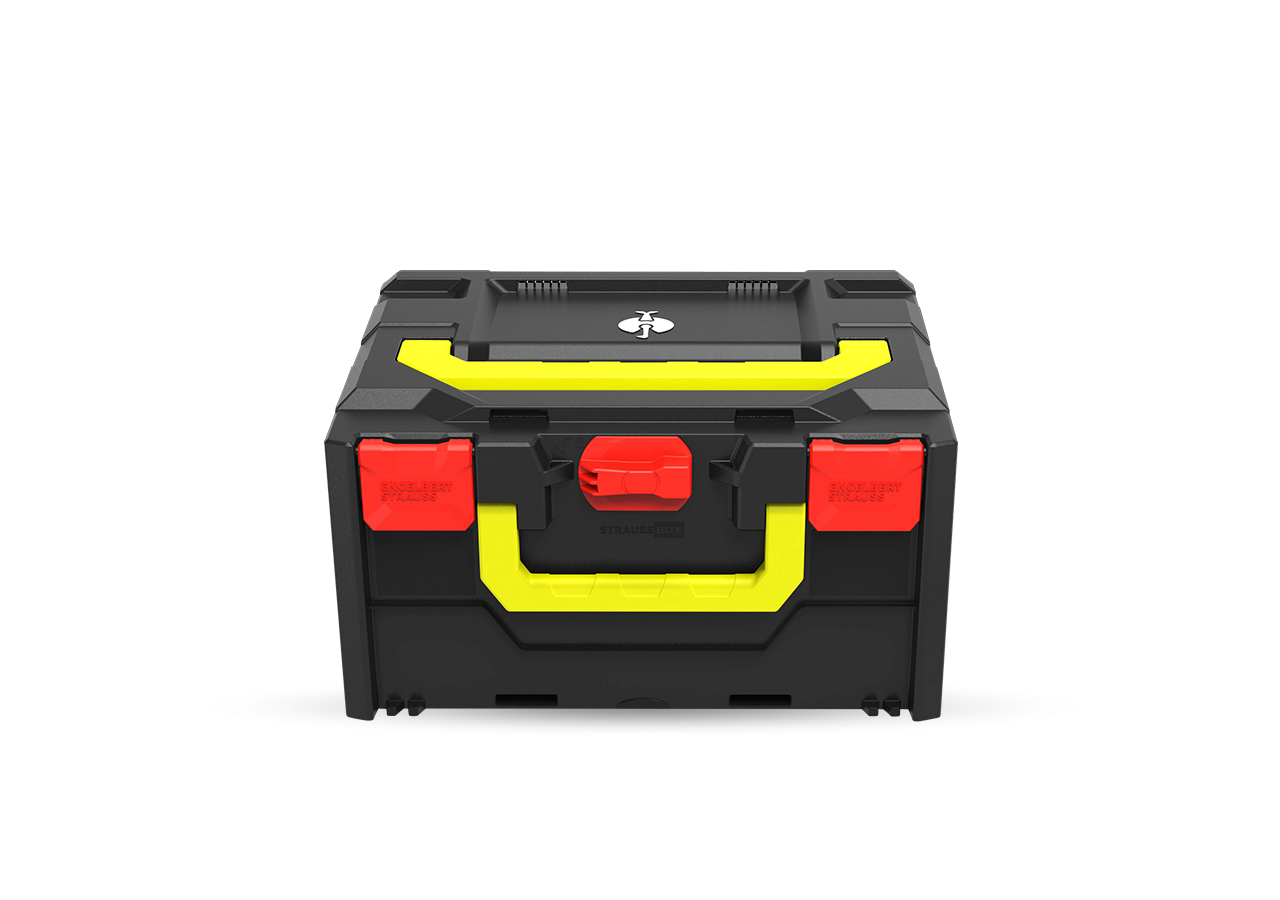Système STRAUSSbox: STRAUSSbox 215 midi Color + rouge vif