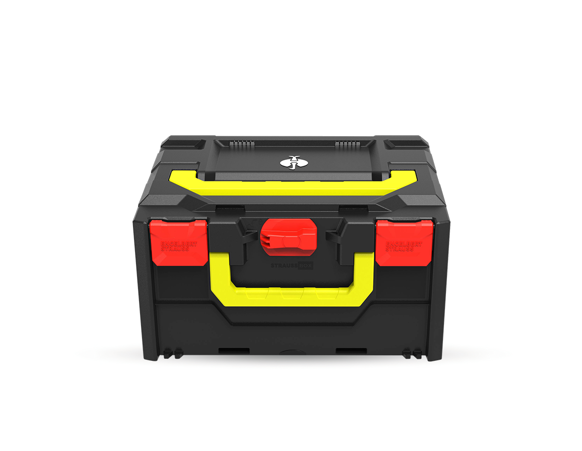 Système STRAUSSbox: STRAUSSbox 215 midi Color + rouge vif
