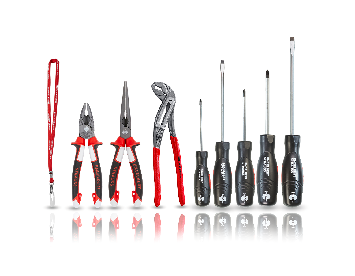 Outils: Kit pince multiprise et tournevis II