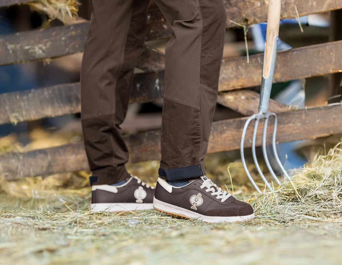 S1P: S1P Chaussures basses de sécurité e.s. Dothan low + marron 1