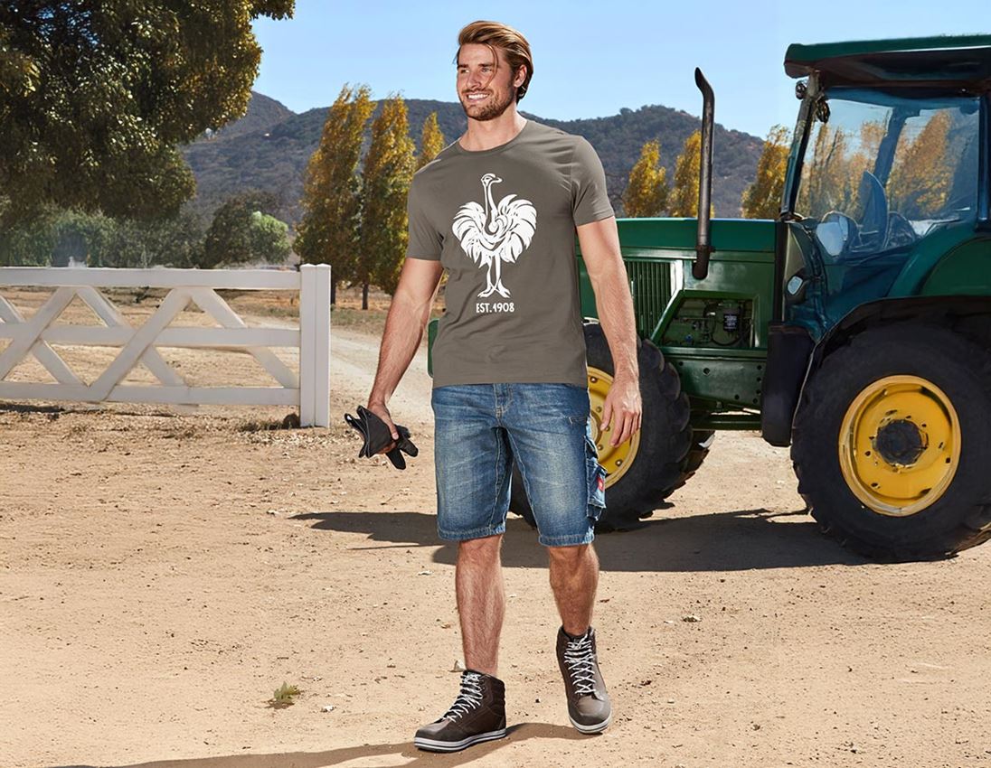 Shirts & Co.: e.s. T-Shirt 1908 + stein/weiß 1