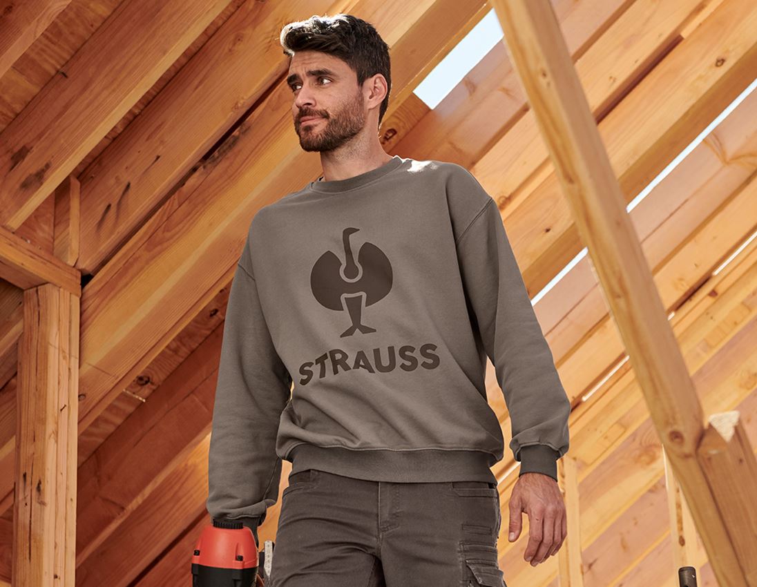 Themen: Oversize Sweatshirt e.s.motion ten + pekanbraun vintage