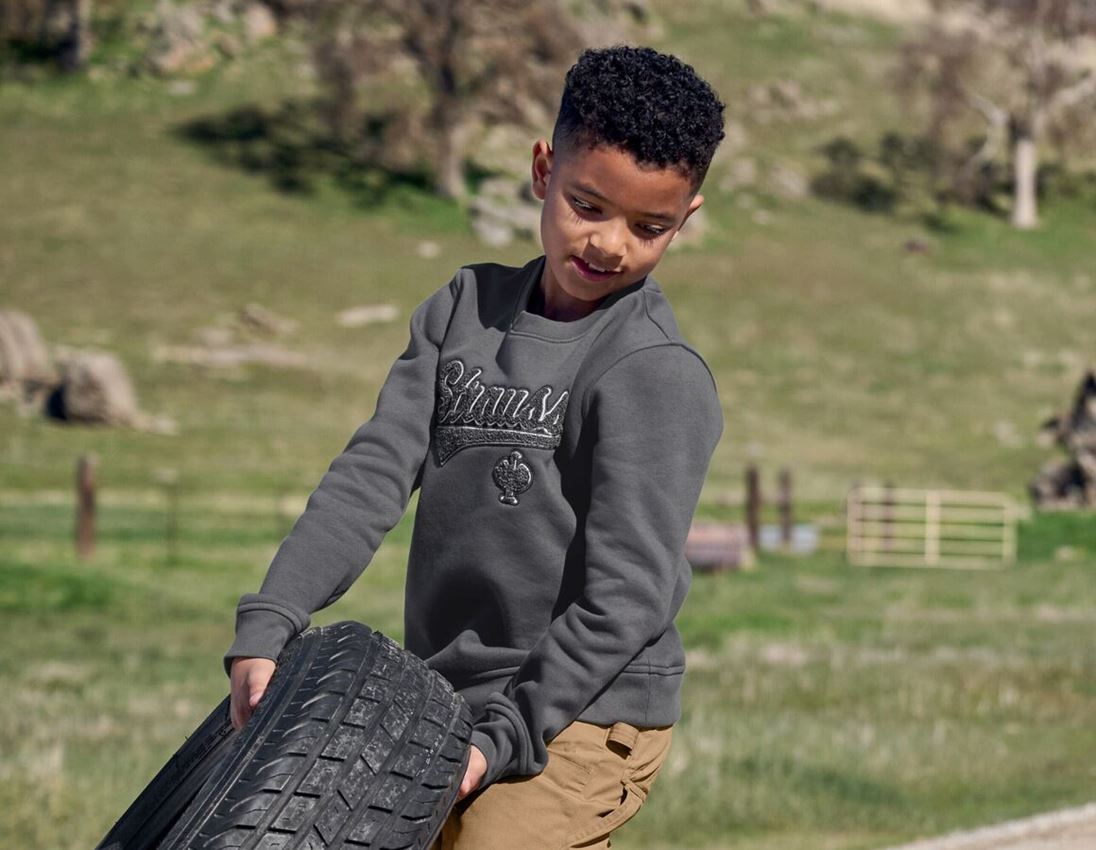 Shirts & Co.: Sweatshirt e.s.e:pic, Kinder + carbongrau 1