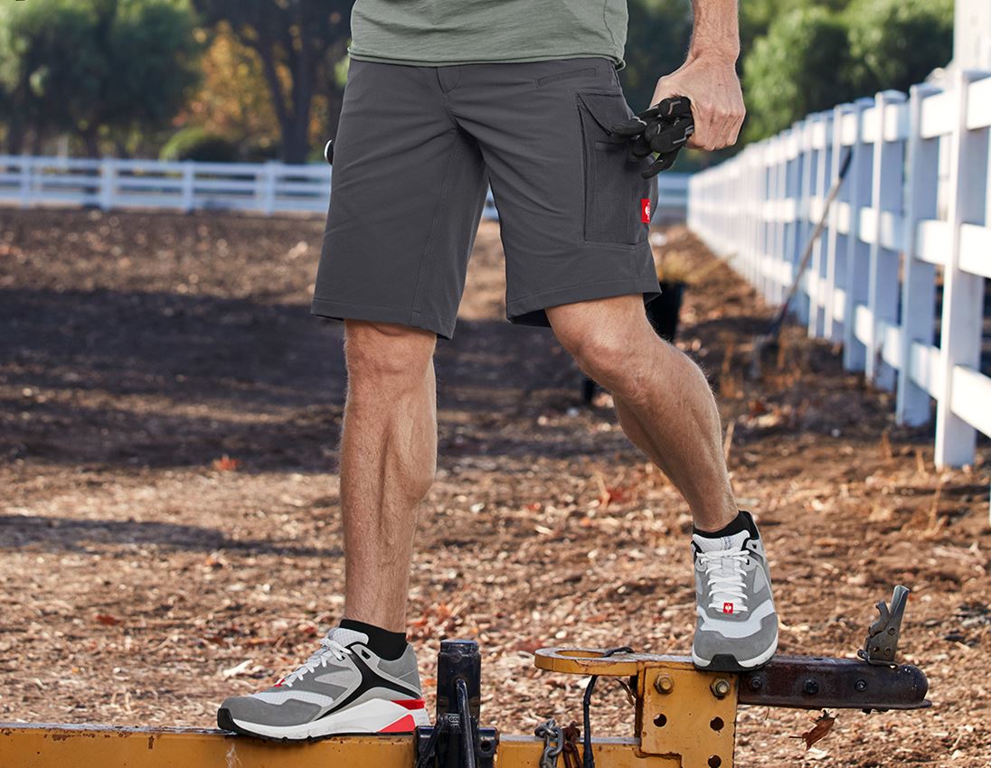 Hosen: Funktions Short e.s.dynashield solid + anthrazit 4