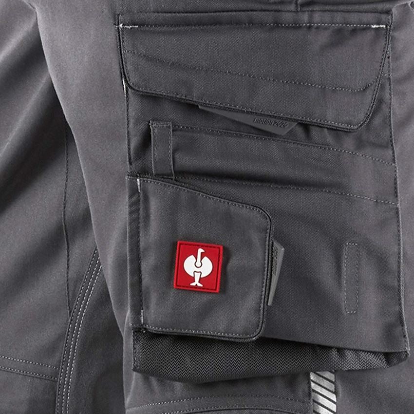 Hosen: Bundhose e.s.motion 2020 + anthrazit/platin 2
