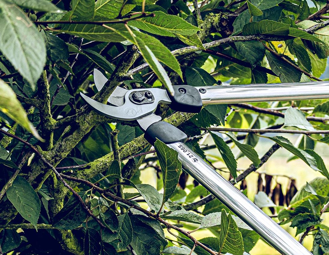 Scheren: Bypass-Astschere Löwe 21
