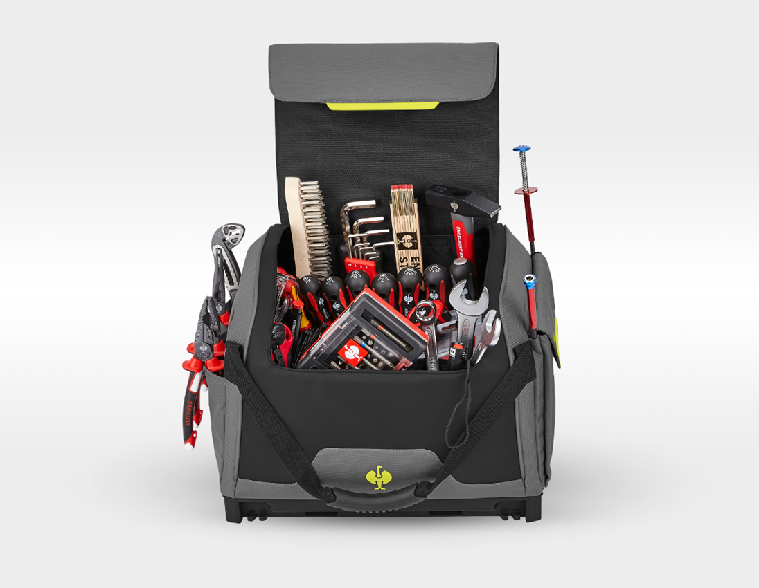 Système STRAUSSbox: Set d'outils Allr. pro avec STRAUSSbox + gris basalte/jaune acide