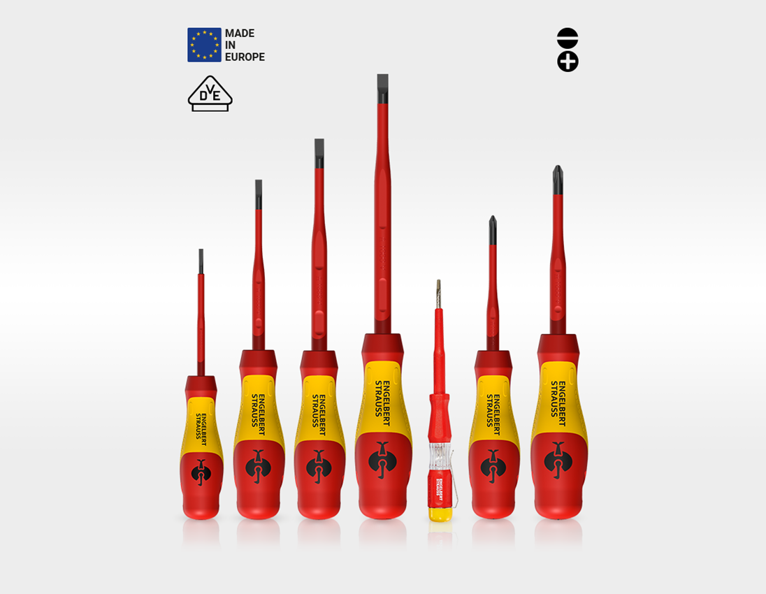 Outils: STRAUSSbox small tournevis 3C VDE insert 1
