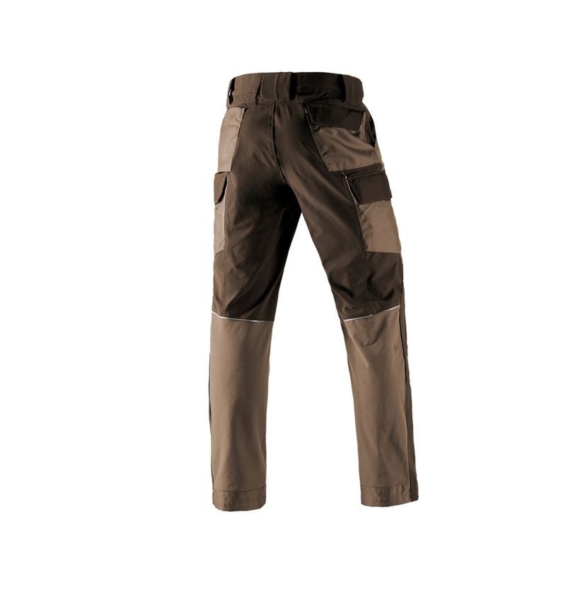 Themen: Funktions Cargohose e.s.dynashield + haselnuss/kastanie 3