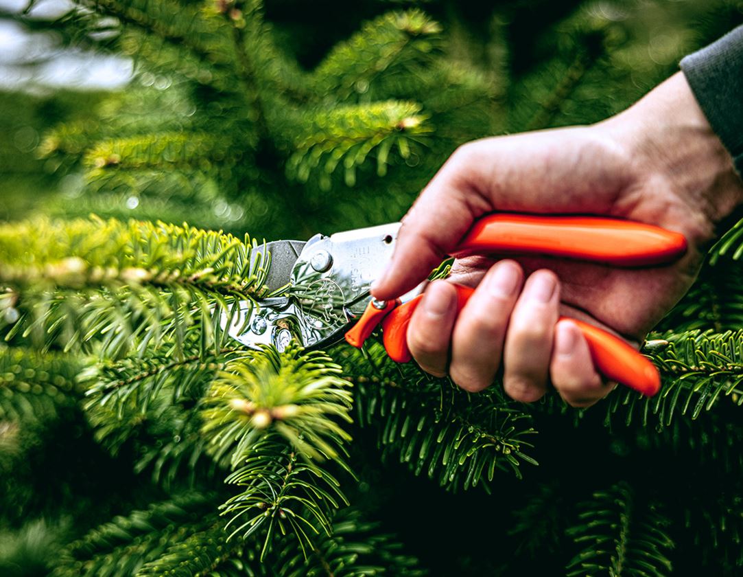 Ciseaux: Kit de pièces de rechange pour Löwe 1