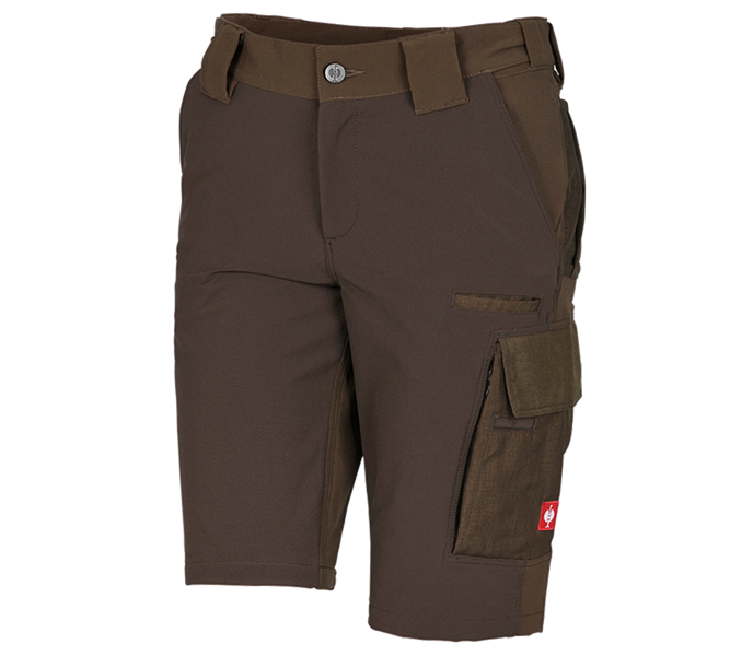 Hlavní náhled, Oděvy, Funkční short e.s.dynashield, dámské, lískový oříšek/kaštan