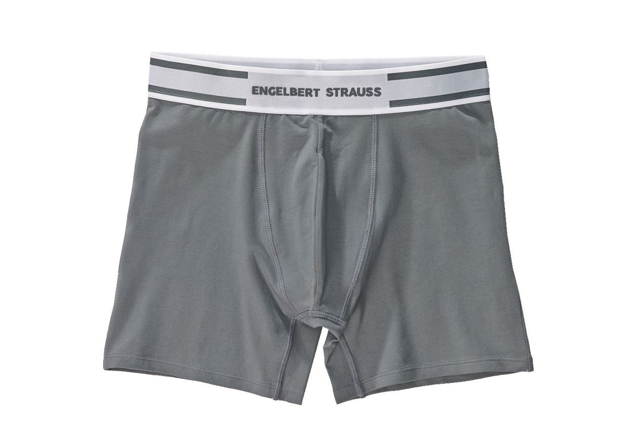 Spodní prádlo | Termo oblečení: e.s. Longleg boxerky cotton stretch + cement/bílá