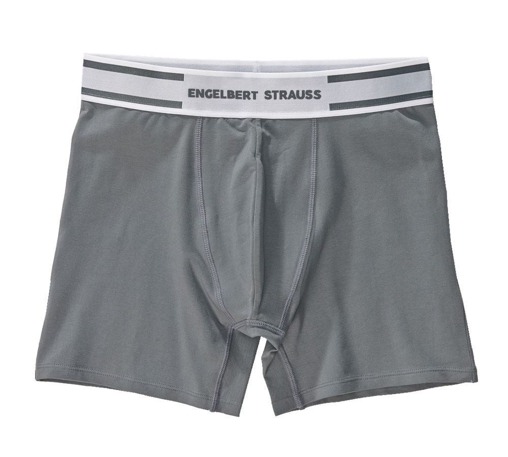 Spodní prádlo | Termo oblečení: e.s. Longleg boxerky cotton stretch + cement/bílá